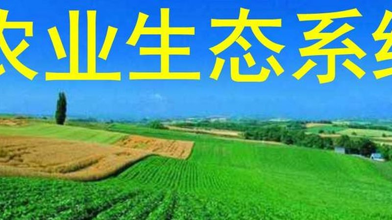 生鲜配送加盟：如何规避潜在风险，把握行业机遇