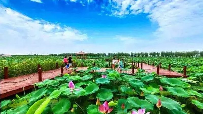 亲子农场门票多少钱一张