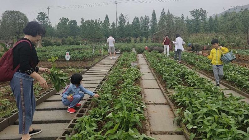 采摘园选址，地形要求有哪些关键点？**