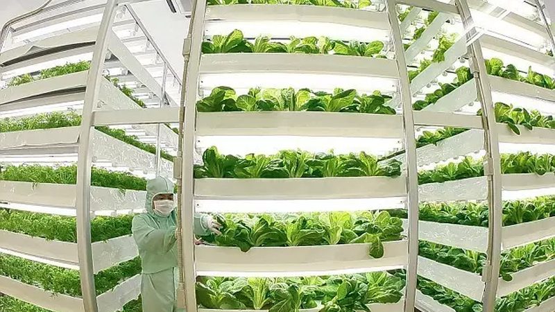 山东农业种植基地承包：如何选择合适的合作伙伴**