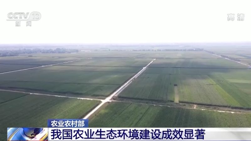 粮食种植定制方案：标准与实施要点
