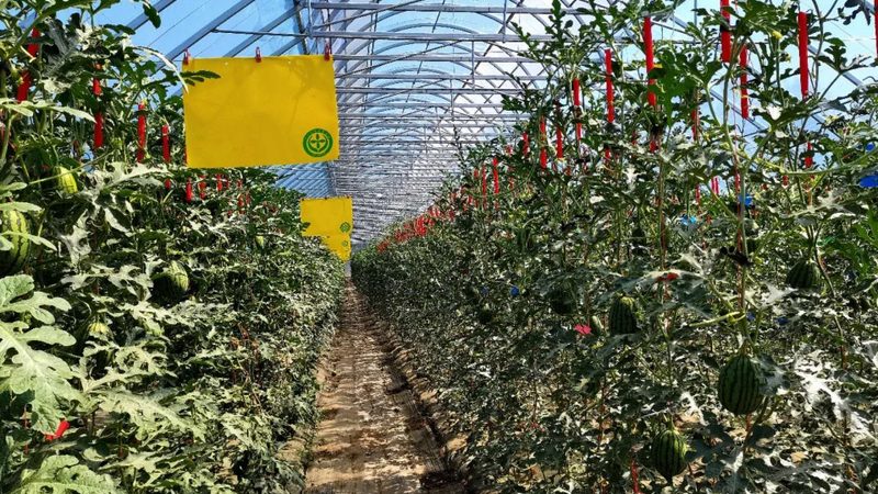 农民专业合作社注册所需材料清单