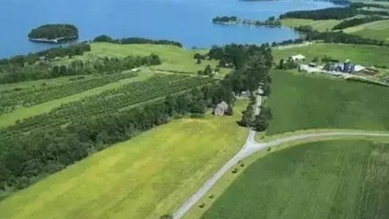 行业背景：农业技术发展迅速，书籍出版鱼龙混杂