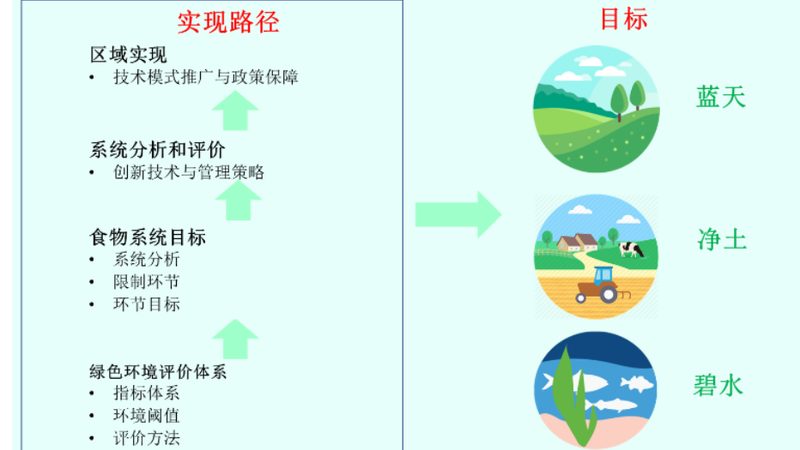 家庭农场品牌推广：从土壤到市场，全方位策略解析