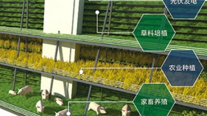 定制包装，如何让农产品批发更具竞争力？**