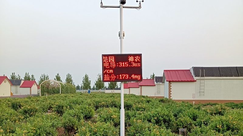 山东农产品价格波动背后的秘密