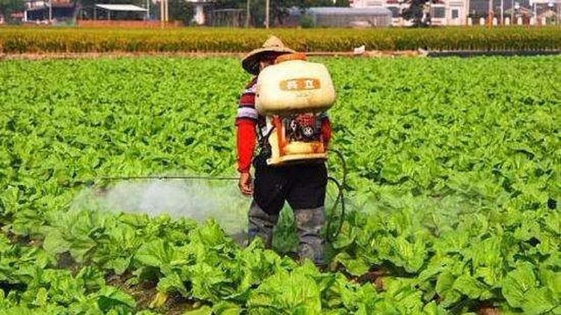 农民专业合作社与公司：经营范围的深度解析
