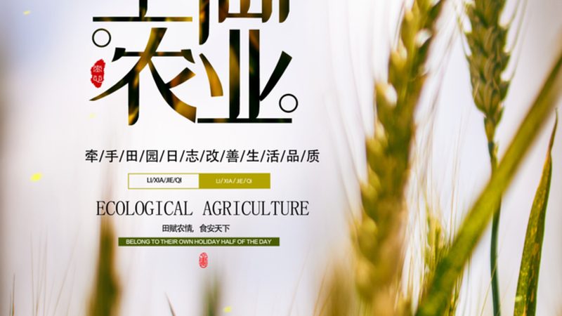 果蔬配送加盟，盈利前景与关键因素解析