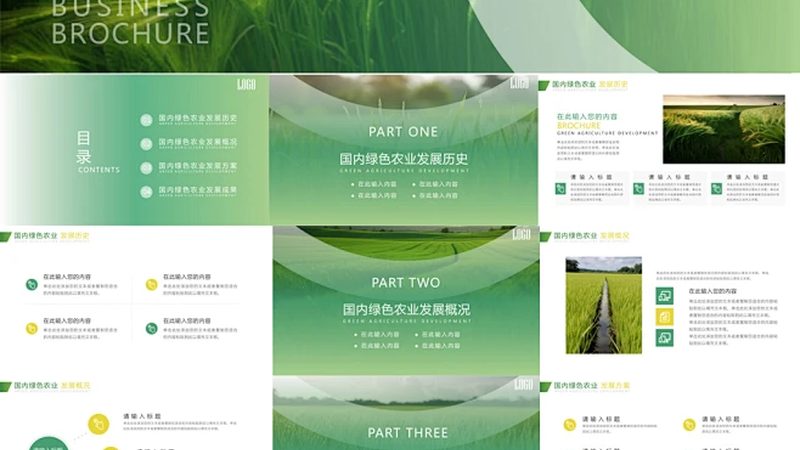 大棚蔬菜种植技术厂家推荐